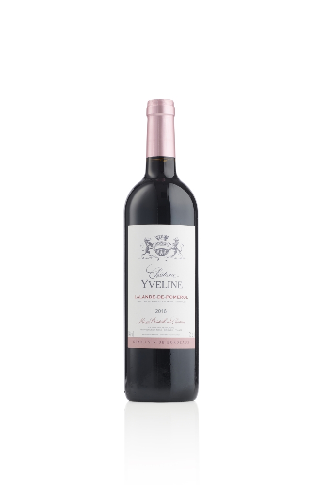 Chateau Yveline