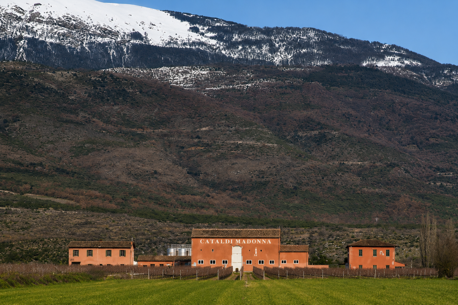 Tenuta Cataldi Madonna — wijngaard