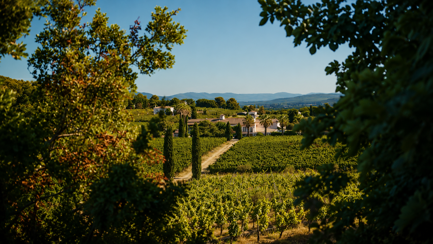 Clos Cibonne