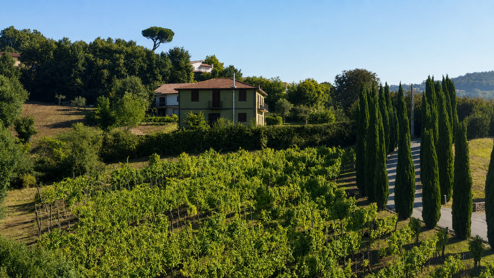 Azienda Agricola Donnachiara