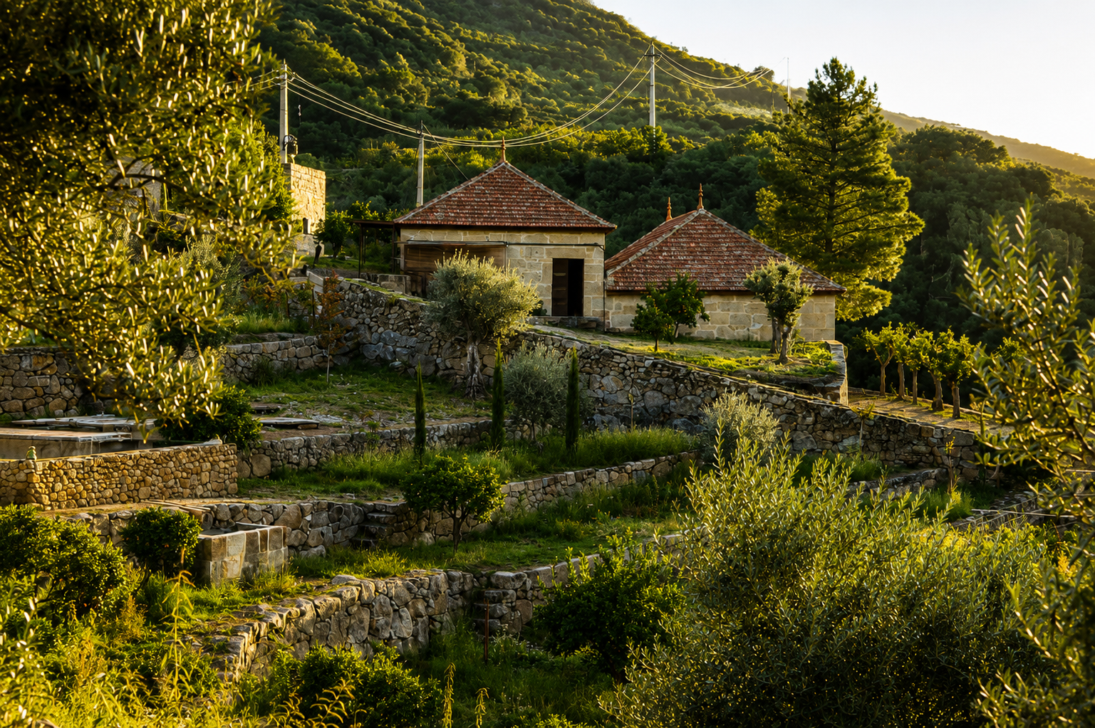 Quinta Da Ferradosa