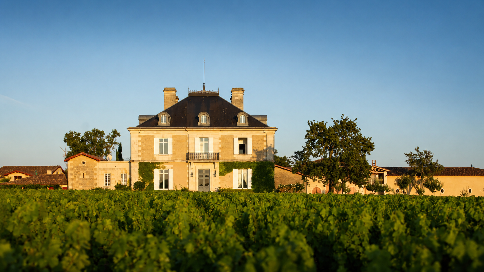 Château Haut Bailly — wijngaard