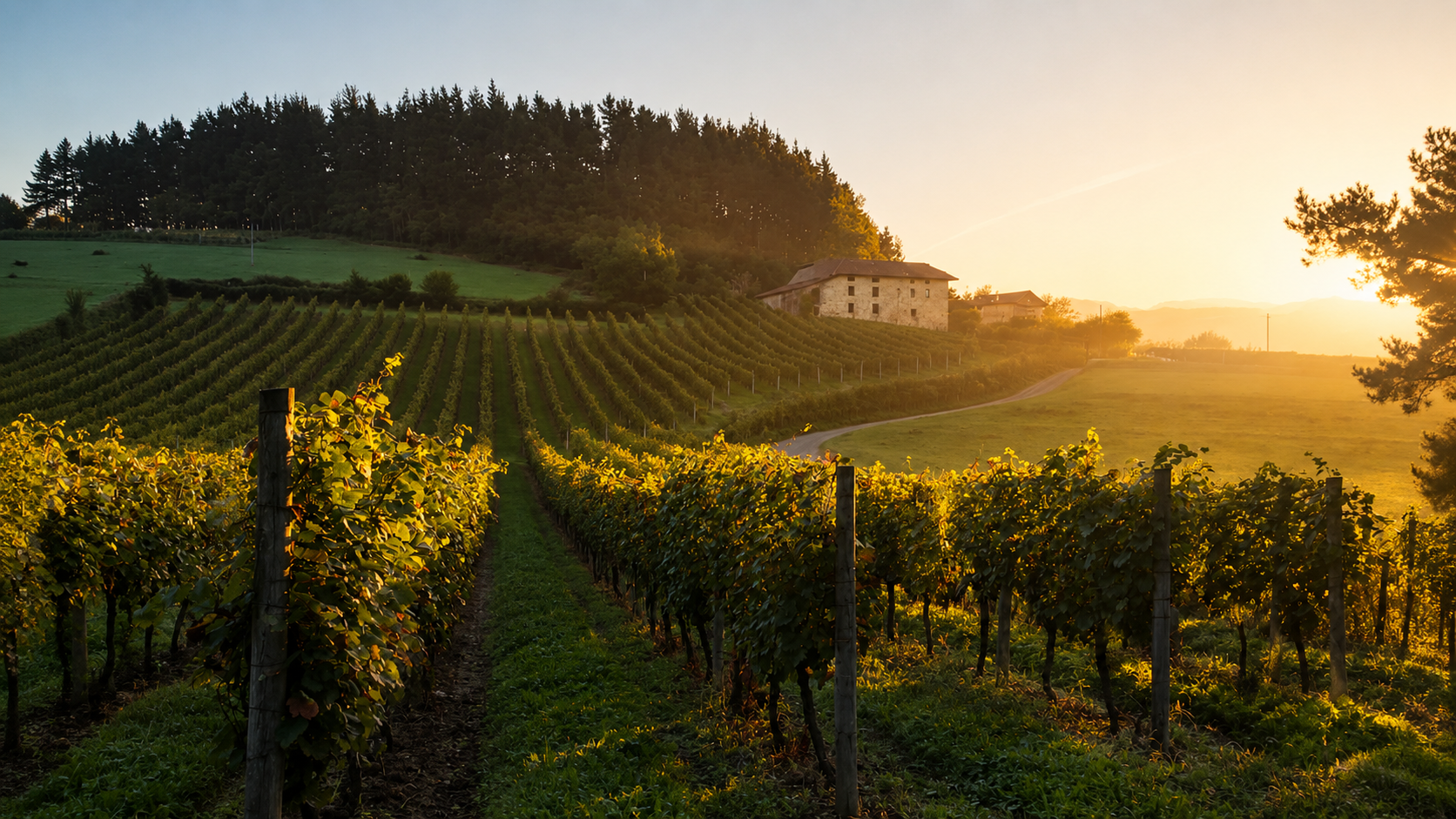 Bodega Gorka Izagirre