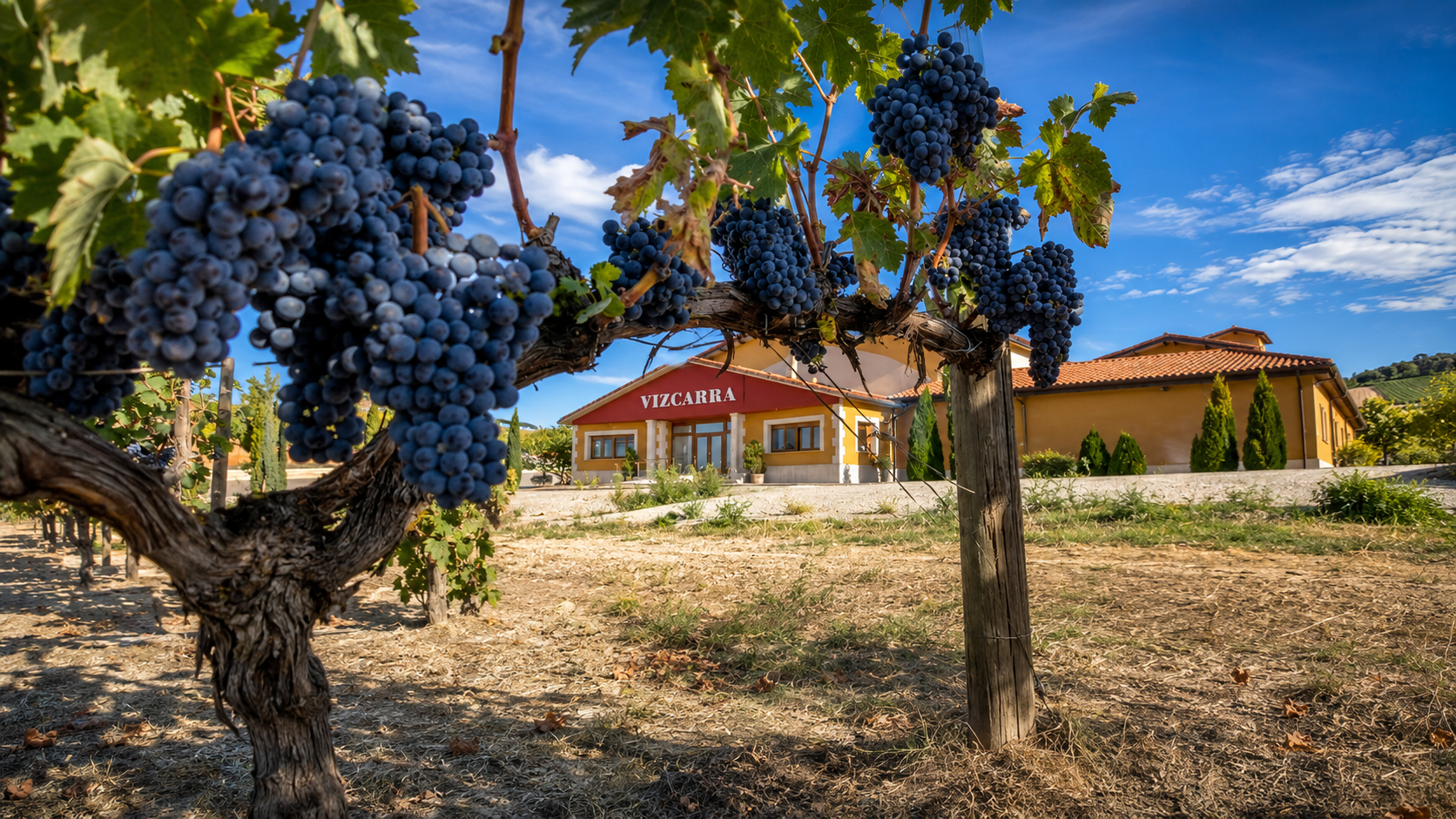 Bodegas Vizcarra