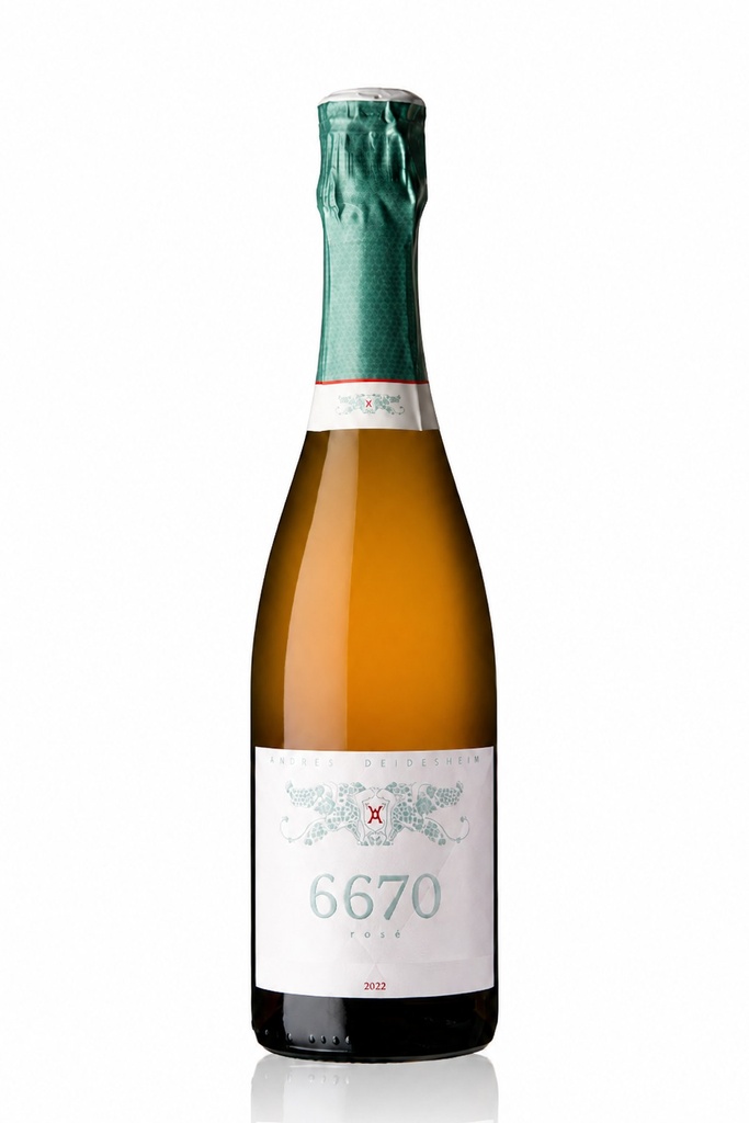 Sekt 6670 Rosé Brut millésimé - 2021 - 75 cl