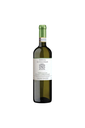 Vernaccia di San Gimignano docg - 2023 - 75 cl