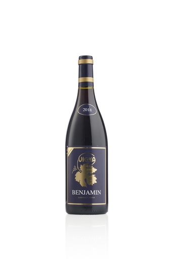 Cabernet Dorsa Barrique Benjamin - 2018 - 75 cl