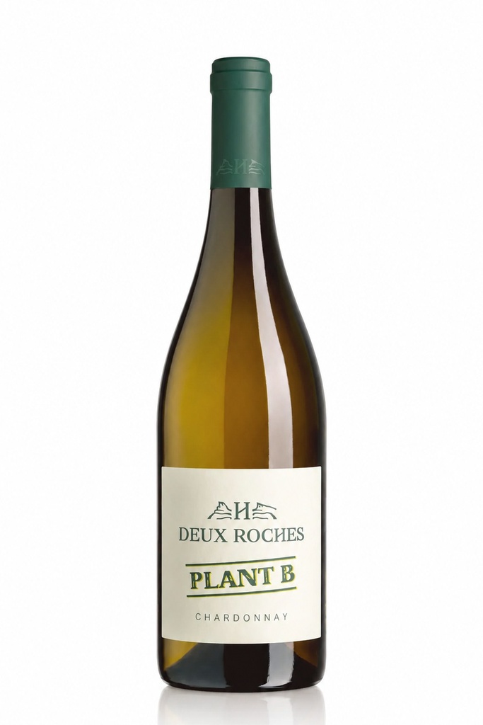 Plant B Chardonnay - 2024 - 75 cl